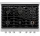 ZLINE 36" Satin Stainless Steel Pro Style Gas Range with 6 Brass Burners-4