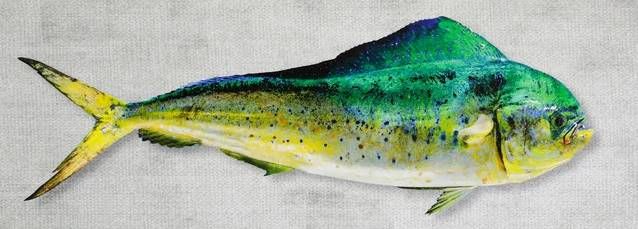 StyleCraft Dolphin Wall Art-1