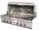 Wolf® 6-Burner Stainless Steel Built-In Natural Gas Grill-1
