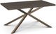 Amisco Customizable Asterisk 60" Rectangular Table with Metal Stand-0