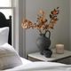 Magnolia Home by Joanna Gaines Mustard Silver Dollar Eucalyptus Stem-5