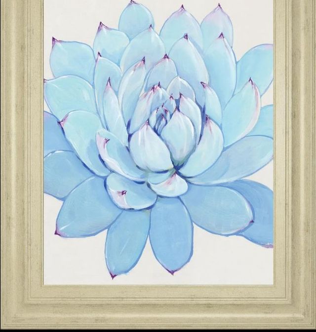 Classy Art Pastel Succulent II by Tim OToole Wall Art-1