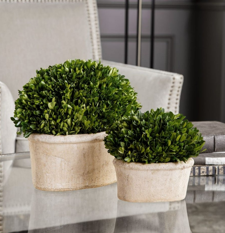 Uttermost Boxwood - Thumbnail 4