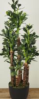 Le Present 31.5" Artificial Jade Green Plant-3