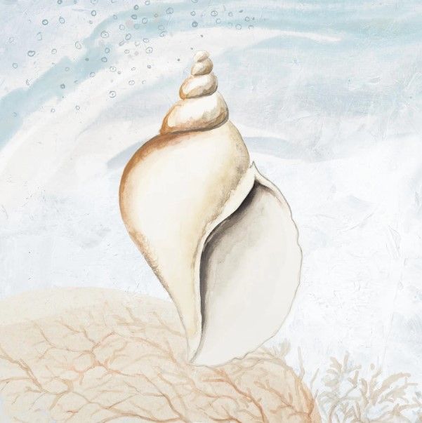 Classy Art Ocean Oasis Tropical Seashell I by Patricia Pinto Wall Art-0