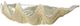 Stylecraft Norman Wyatt Home Natural/Silver Clam Bowl-1