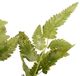 A & B Home Green Wood Fern Spray Stem-1