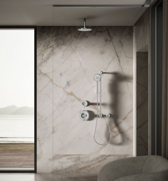 KOHLER® Contemporary Polished Chrome 2.5 GPM Round 8" Single-Function Rainhead-2