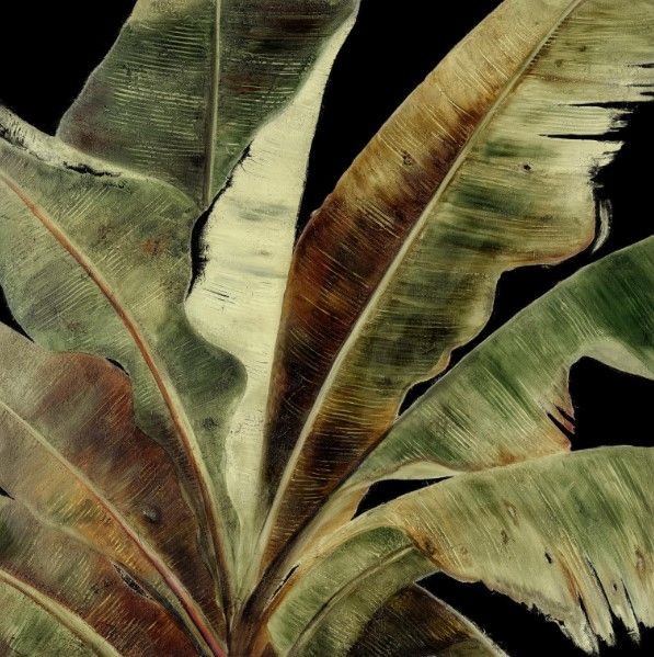 Classy Art Uraba Palm on Black I by Patricia Pinto Wall Art-0
