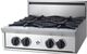 BlueStar 24" Stainless Steel Gas Rangetop-0