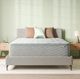 BeautySleep® Soothing Nights 16" Pocketed Coil Plush Pillow Top California King Mattress in a Box-0