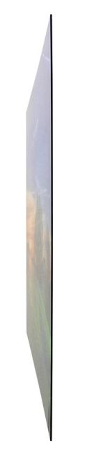 YHD Bluebonnets Wall Art-2