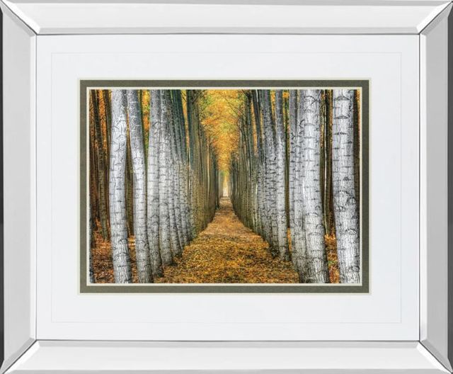 Classy Art Tree Farm by Cahill Mirror Framed Wall Art-0