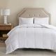 Olliix by Sleep Philosophy White Full/Queen Cotton 300 Thread Count Cover Tencel® Filled Down Alternative Comforter Antimicrobial BI-OME Odor Eliminator-1