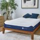 BEDGEAR® M3 Performance® 12" Wrapped Coil Dual Comfort Plush/Plush Tight Top Twin XL Mattress in a Box-1