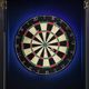 Elements International Hurricanes Black Dartboard Cabinet-5