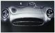 YHD Gullwing Portrait Glass Art-0