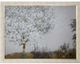 StyleCraft Fruit Tree Brown/Light Gray/Nickel/White Wall Art-0