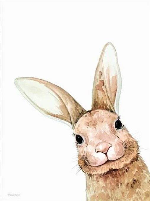 Classy Art Fluffy Peekaboo Bunny by Rachel Nieman Wall Art-0