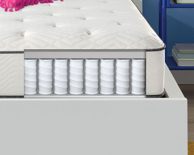 Simmons® Dreamwell Holiday™ Wrapped Coil Firm Tight Top Twin Mattress-2