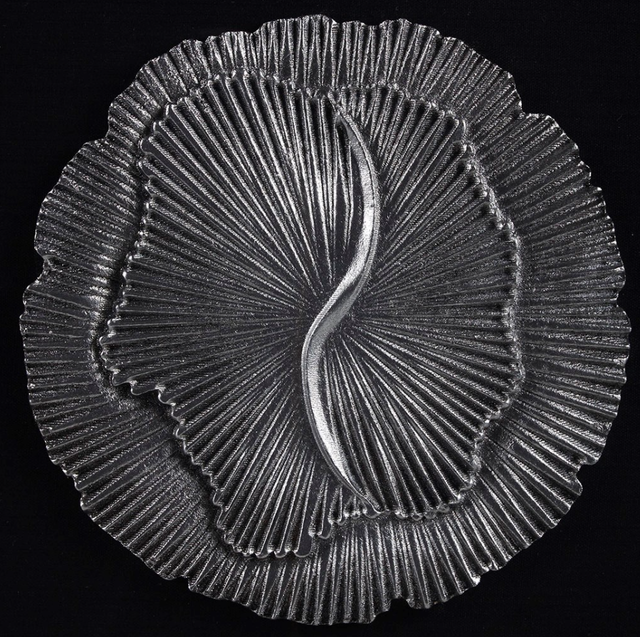 Olliix by Madison Park Aster 2 Piece Silver Framed Resin Set-2