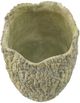 A & B Home Natural Green Planter-1