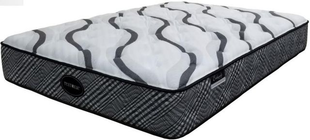 Spring Air® Presidential Premium Cleveland Innerspring Plush Tight Top Twin XL Mattress-0
