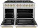 ZLINE Select Autograph Edition 48" Satin Stainless Steel Pro Style Dual Fuel Range with Champagne Bronze Accents-1