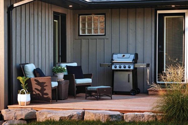 Napoleon Freestyle® Graphite Grey Freestanding Grill