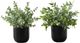 Monarch Specialties Inc. 2-Piece Black 11" Tall Artificial Potted Eucalyptus Grass-0