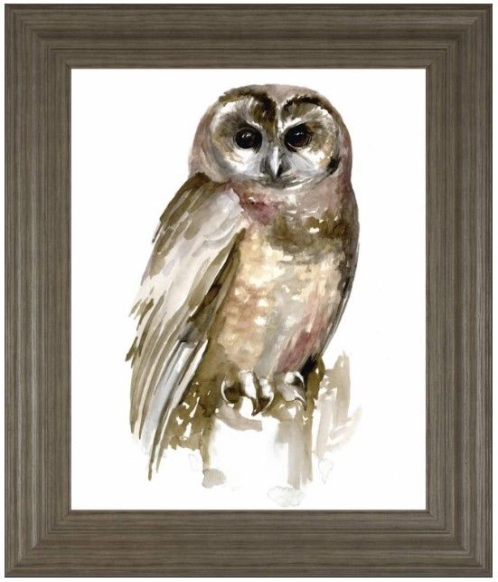 Classy Living Jennifer Paxton Parker Watercolor Owl II Wall Art-0