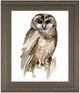 Classy Living Jennifer Paxton Parker Watercolor Owl II Wall Art-0