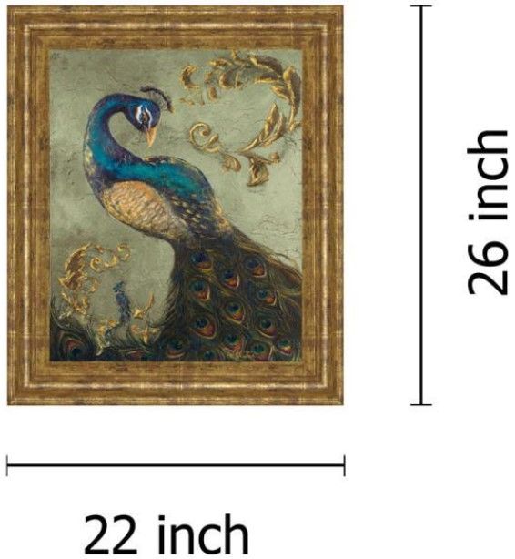 Classy Living Tiffany Hakimipour Peacock On Sage Il 22' Wall Art-2