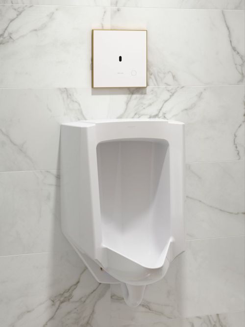 KOHLER® Mach Flex™ White/Vibrant Brushed Moderne Brass Glass Faceplate for Concealed Touchless Urinal Flushometer, 0.5 Gpf-1