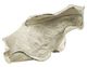 A & B Home Silver Decorative Leaf Shaped Platter-1