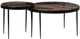 Four Hands Yoko 2-Piece Smoked Brown Nesting Table Set with Matte Black Base-2