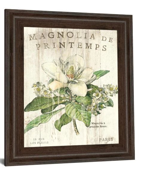 Classy Art Magnolia De Printemps by Sue Schlabach Wall Art-1