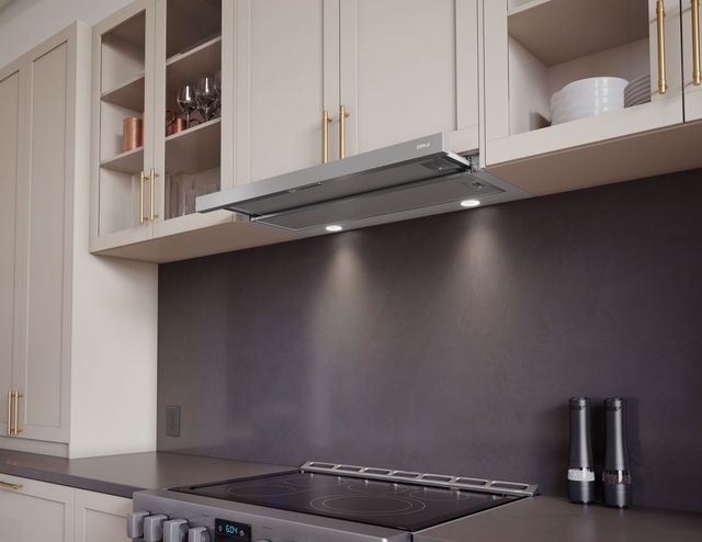 Stainless Steel Hood Aesthetics