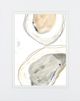 Classy Living June Erica Vess Ocean Oysters I Wall Art-1