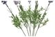 A & B Home Purple Lavender Stem-2