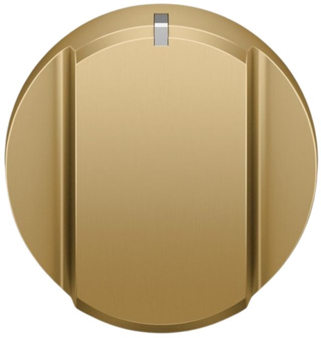 Fisher & Paykel Professional Brass Gas Range Dial Kit-1