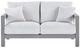 Signature Design by Ashley® Moonlight View Gray Aluminum/Fabric Outdoor Loveseat-1