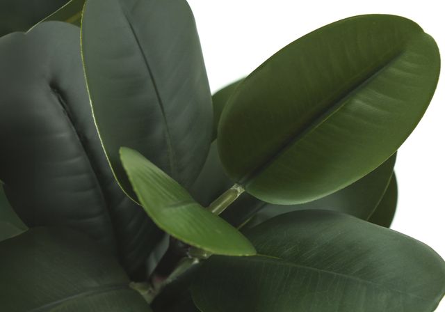 Monarch Specialties Inc. Green/White 31" Tall Artificial Potted Garcinia Tree-2