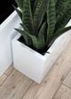 Le Present Lux Box White 40" Planter-2