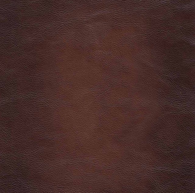 Hydeline® Belfast Caramel Brown Sofa-2