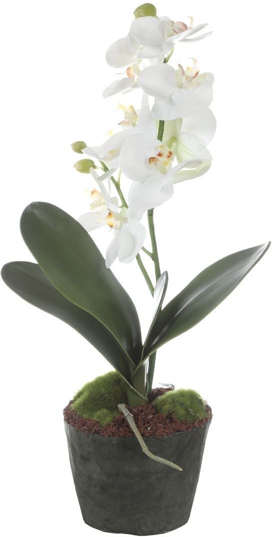 Uttermost® Laris Black/Green/White Orchid-4