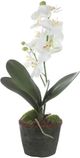 Uttermost® Laris Black/Green/White Orchid-4