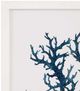 Bassett Mirror Souvenirs Coral lV Framed Print-1