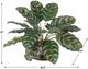Uttermost® Peacock Green Plant Accent-3