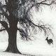 YHD Winter's Morning Fog II Wall Art-3